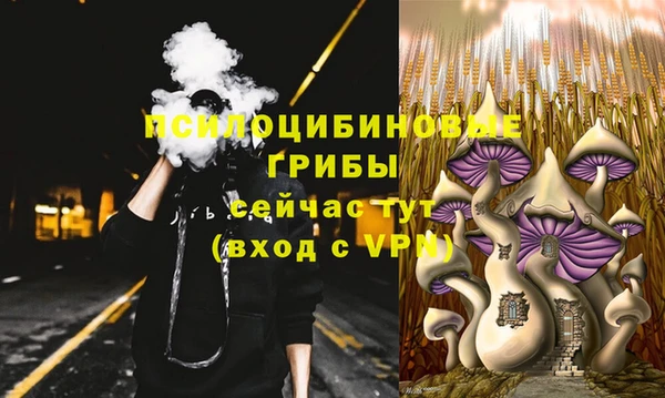 гашик Нефтегорск