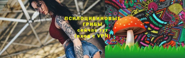 гашик Нефтегорск