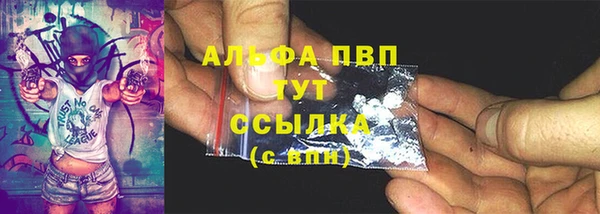 гашик Нефтегорск